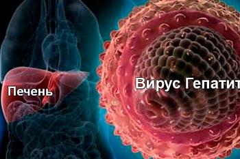Что такое гепатит