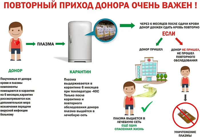 Важность повторной сдачи крови 