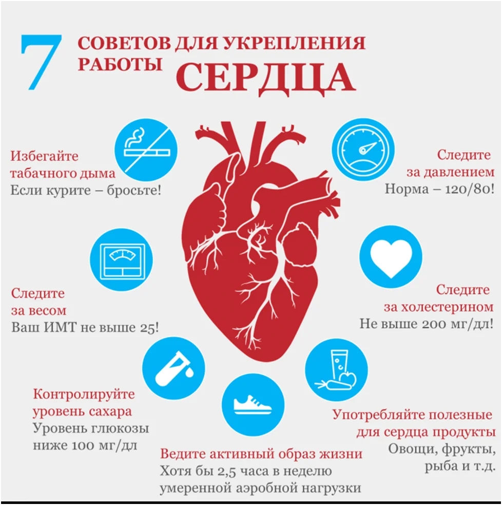 Неделя профилактики сердечно-сосудистых заболеваний (в честь Международного дня здорового сердца 11 августа)