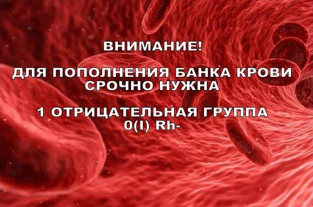 ВНИМАНИЕ! НУЖНА ПОМОЩЬ