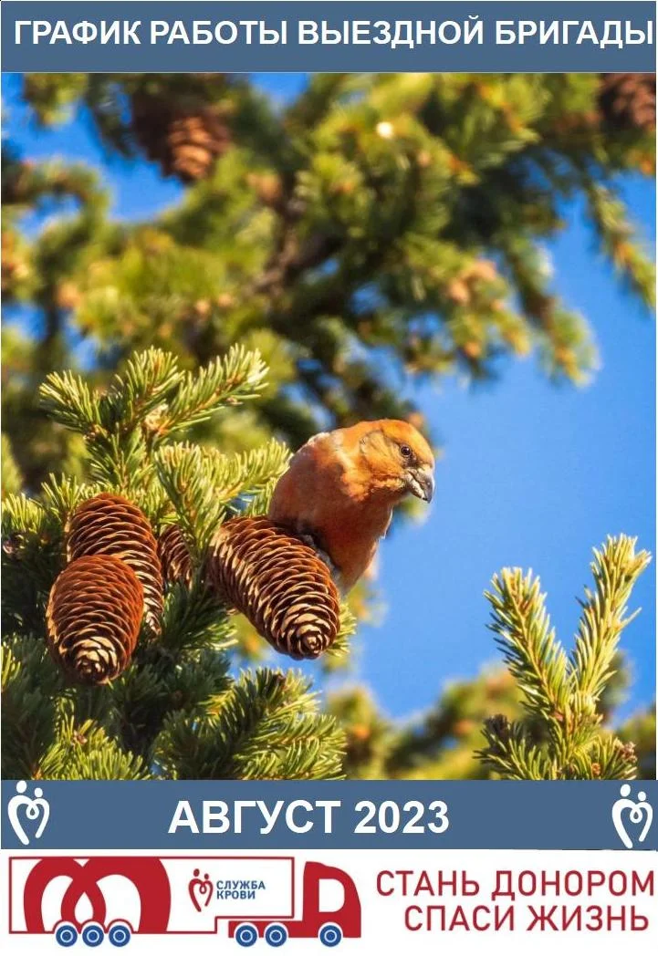 ГРАФИК ВЫЕЗДНОЙ БРИГАДЫ. АВГУСТ 2023