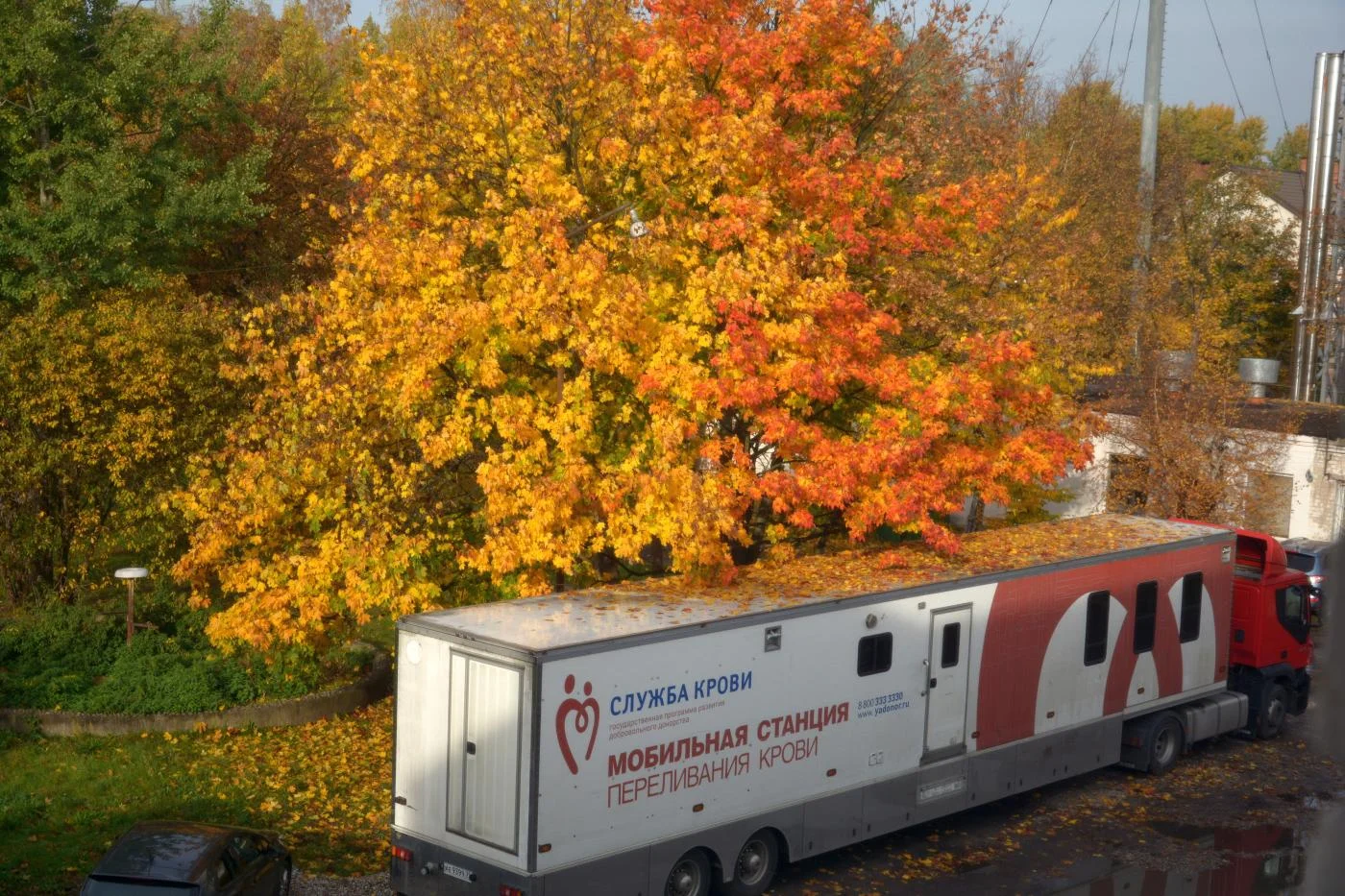 График работы Станции переливания крови КО в выходные и праздничные дни
