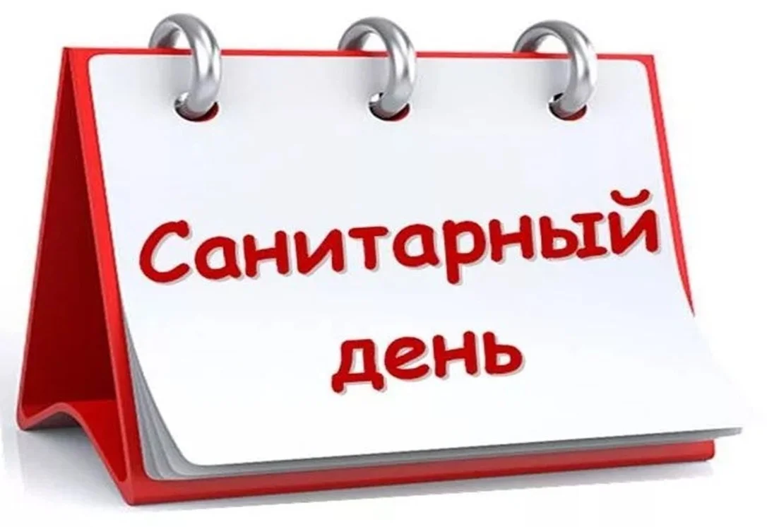 31 ЯНВАРЯ - САНИТАРНЫЙ ДЕНЬ