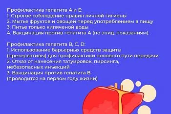 Профилактика вирусных гепатитов