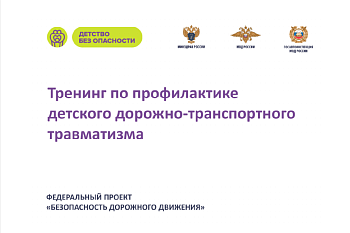 Профилактика травматизма в ДТП