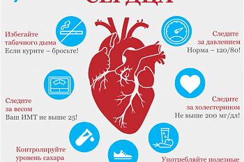 Неделя профилактики сердечно-сосудистых заболеваний (в честь Международного дня здорового сердца 11 августа)